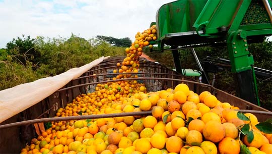 laranja