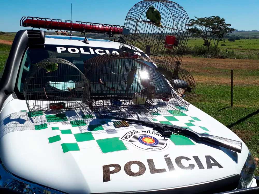  Idoso recebe multa de R$ 1,5 mil por manter aves sem autorização em residência