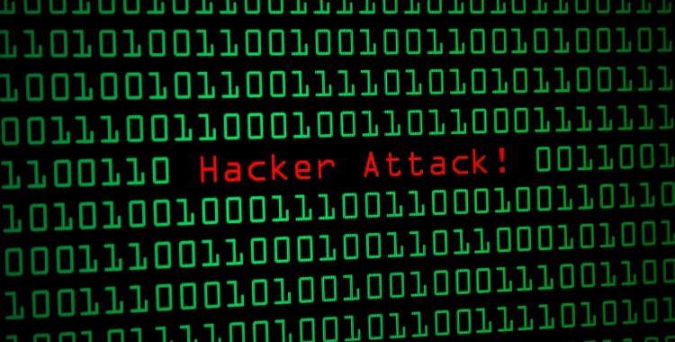 Poa-24-horas-reprod-61