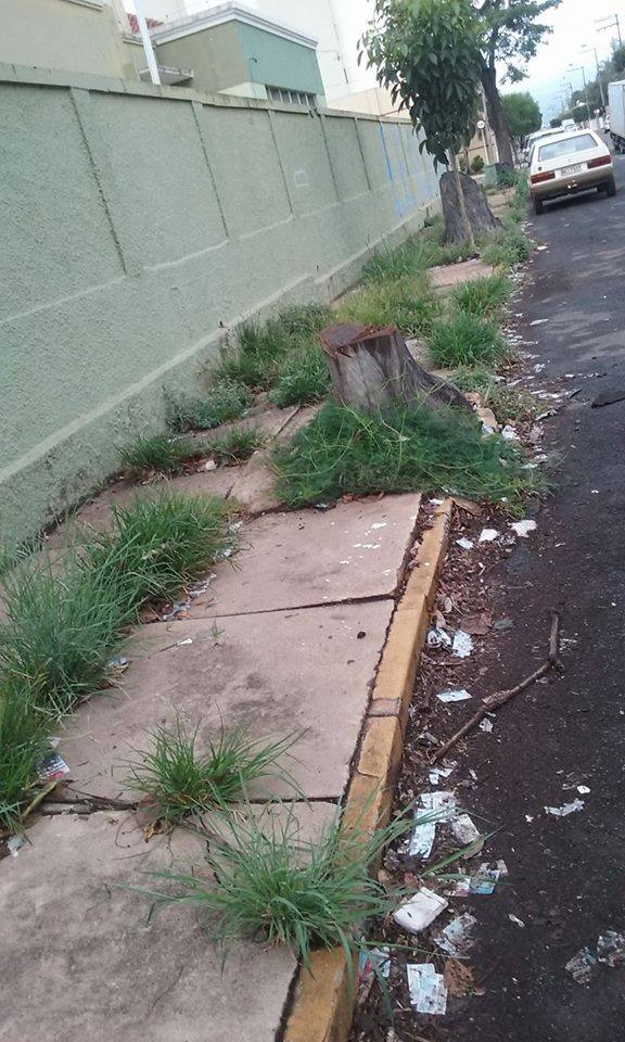 14914647 1173483356065064 2093101777 n