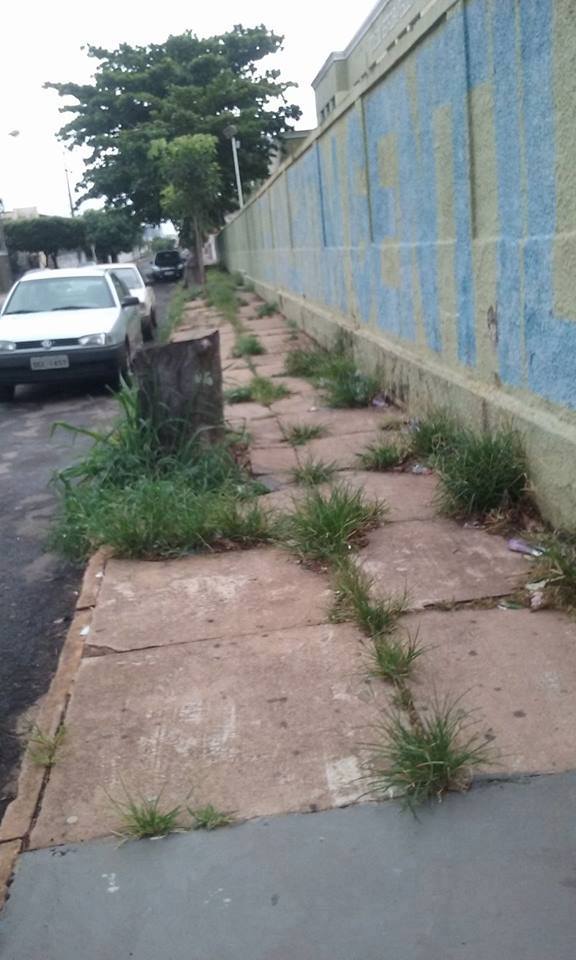 14936961 1173483219398411 364978155 n