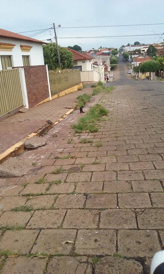 14937794 1173483319398401 1443221981 n