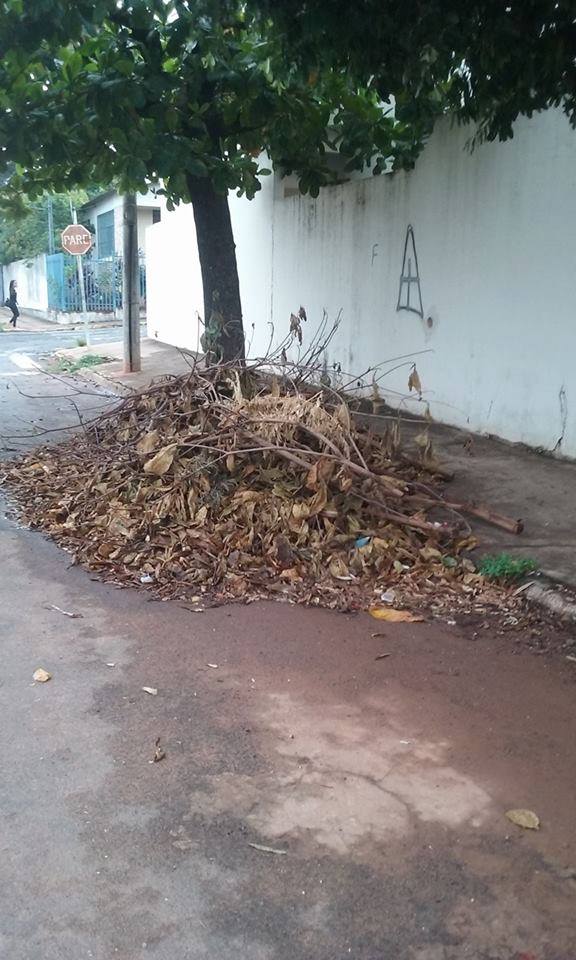 14938084 1173483282731738 1289457020 n