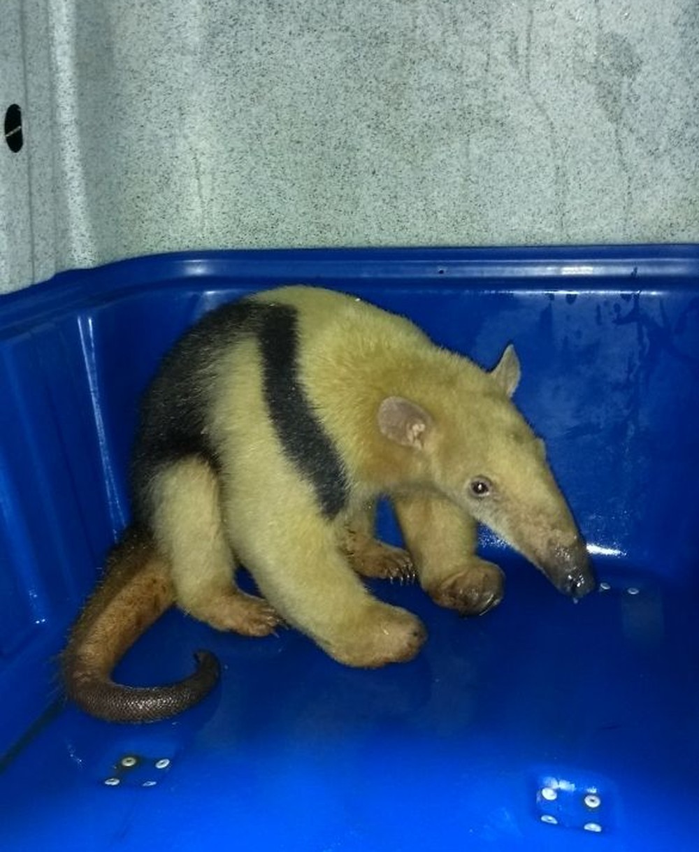 grupo-imprensa-de-jau-6-