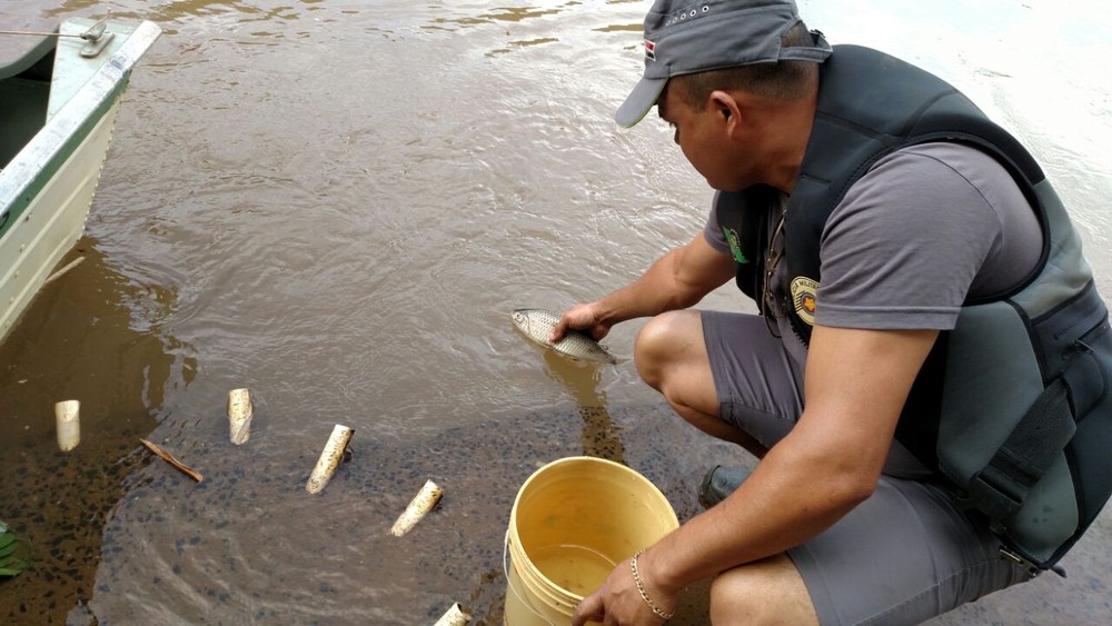 whatsapp-image-2018-02-13-at-20.16.52