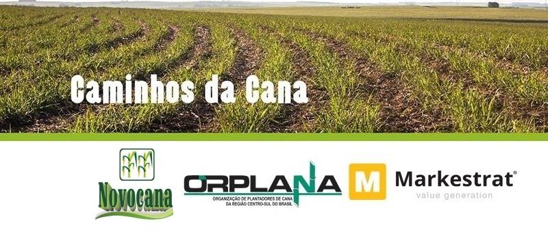 22852100 1921542421500638 5325440788003905483 n