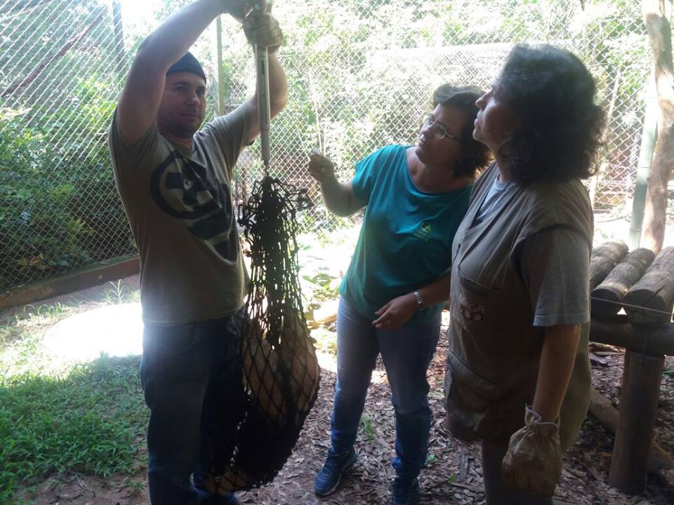 24068093 931614953680881 7881635349746298868 n