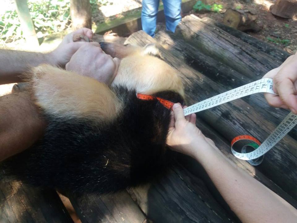 24068177 931614950347548 5739961711551423222 n