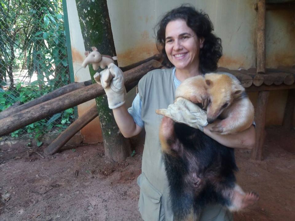 24174334 931614947014215 5830894852851198116 n