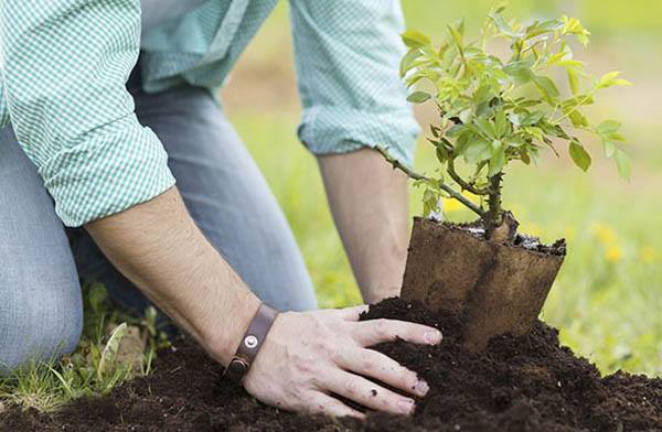 24900161 1531506783581550 3589102681280189774 n