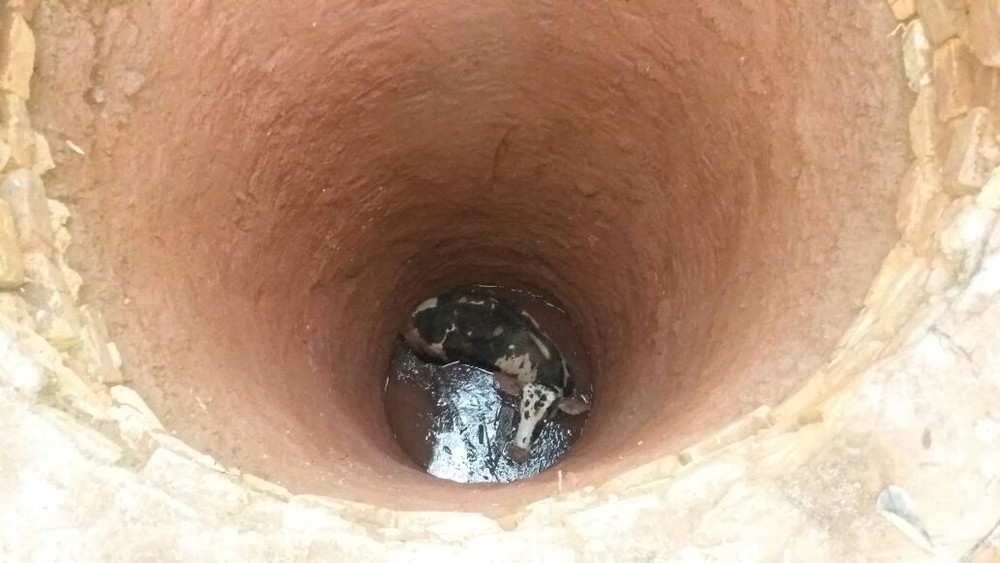 whatsapp-image-2017-12-07-at-09.12.46 1