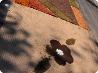 Itápolis - Corphus Cristi Santo Antonio