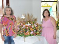 Festa do Senhor Bom Jesus Tapinas (Galeria 2)