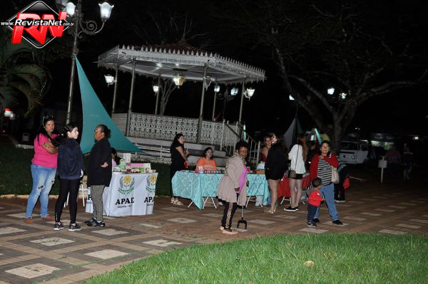 Feira Artesanato  35 