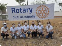 Roraty Itápolis Plantação de Árvores