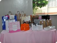 Palestra ACEI - Amigas do Peito