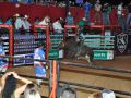 11 05 Rodeio  57 