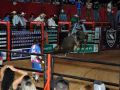 11 05 Rodeio  58 