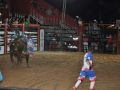11 05 Rodeio  144 