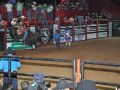 11 05 Rodeio  145 