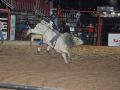 11 05 Rodeio  149 