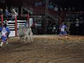 11 05 Rodeio  175 