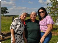 Boi no Rolete Itápolis 