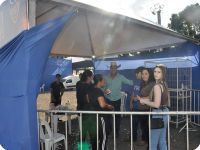 Queima do Alho Itapolis