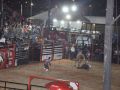 RODEIO 08 05 25  138 