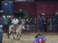 RODEIO 09 05 25  63 