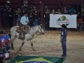 RODEIO 09 05 25  64 