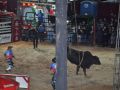 RODEIO 09 05 25  79 