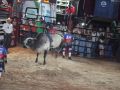 RODEIO 09 05 25  86 
