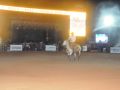 RODEIO 10 05 25  43 