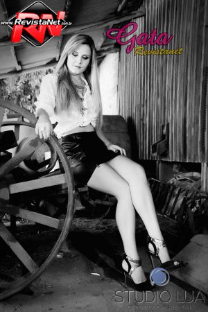 fe0ab18d82bfb2074082f4d1ee320e89