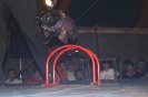 02-06-11-circo-do-jacare-itapolis_34