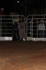 05-05-11-rodeio-itapolis-galeria2_27