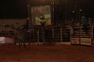 05-05-11-rodeio-itapolis-galeria2_42