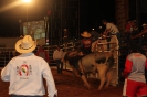 05-05-11-rodeio-itapolis-galeria2_86