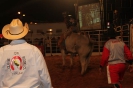 05-05-11-rodeio-itapolis-galeria2_90