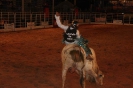 05-05-11-rodeio-itapolis-as_14