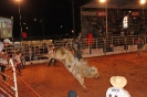 05-05-11-rodeio-itapolis-as_4