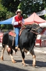 08-05-11-desfile-rodeio-itapolis_47