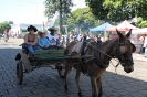 08-05-11-desfile-rodeio-itapolis_92