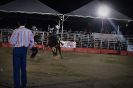 1º Rodeio Fest Show-Bairro do Quadro 15-11-2013-58