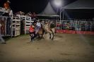 1º Rodeio Fest Show-Bairro do Quadro 15-11-2013-63