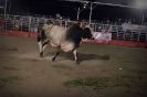 1º Rodeio Fest Show-Bairro do Quadro 15-11-2013-64