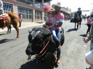 Desfile Rodeio de Borborema 08-09-2013-6