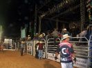 Dourado Rodeio Show-79