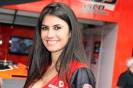 Gatas da Stock Car 2013